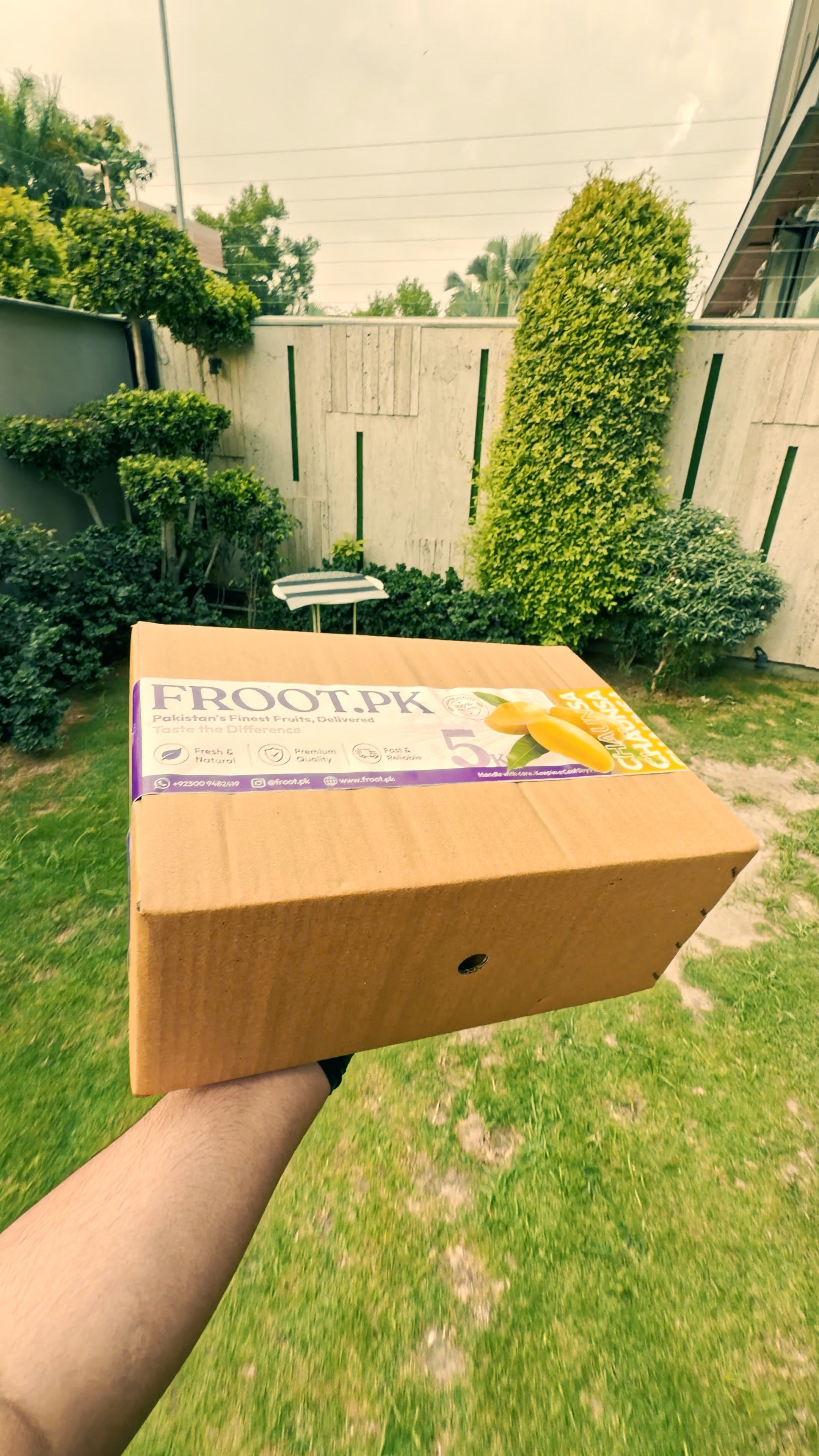 Unboxing Froot.pk Mango Box